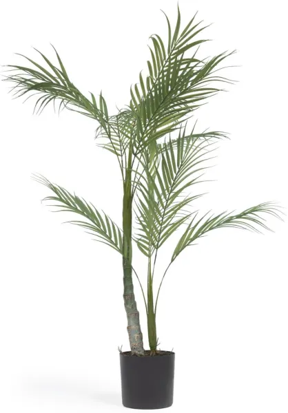 Palmera, konstgjord växt, svart, H70x70x60 cm